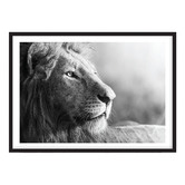 Campana Collective King of Beasts Printed Wall Art
