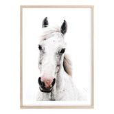Campana Collective Dappled Printed Wall Art