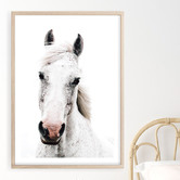 Campana Collective Dappled Printed Wall Art