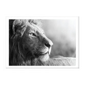 Campana Collective King of Beasts Printed Wall Art