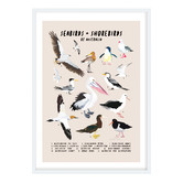 Campana Collective Seabirds &amp; Shorebirds of Australia Printed Wall Art