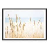 Campana Collective In The Dunes Printed Wall Art
