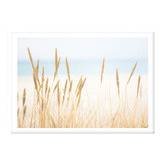 Campana Collective In The Dunes Printed Wall Art