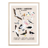 Campana Collective Seabirds &amp; Shorebirds of Australia Printed Wall Art