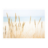 Campana Collective In The Dunes Printed Wall Art