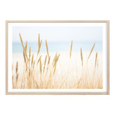 Campana Collective In The Dunes Printed Wall Art
