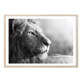 Campana Collective King of Beasts Printed Wall Art
