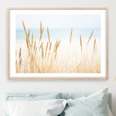 Campana Collective In The Dunes Printed Wall Art