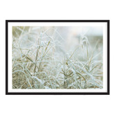 Campana Collective Naturally Organic Printed Wall Art