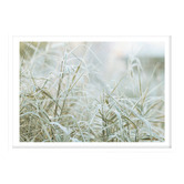 Campana Collective Naturally Organic Printed Wall Art