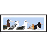 Campana Collective Australian Seabirds Panorama Printed Wall Art