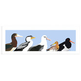Campana Collective Australian Seabirds Panorama Printed Wall Art