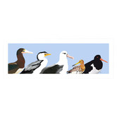 Campana Collective Australian Seabirds Panorama Printed Wall Art
