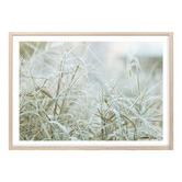 Campana Collective Naturally Organic Printed Wall Art