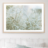 Campana Collective Naturally Organic Printed Wall Art