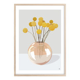 Campana Collective Billy Buttons Still Life Printed Wall Art