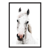 Campana Collective Dappled Printed Wall Art