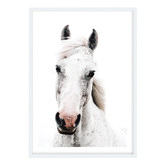 Campana Collective Dappled Printed Wall Art