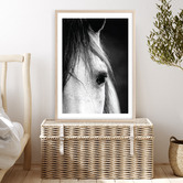 Campana Collective Horse Close-up Printed Wall Art