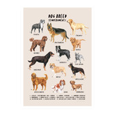 Campana Collective Dog Breed Personalities Framed Printed Wall Art
