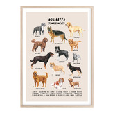 Campana Collective Dog Breed Personalities Framed Printed Wall Art