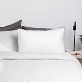 Tontine Classic Comfort Medium Cotton Standard Pillow