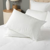 Tontine Classic Cotton Standard Pillows