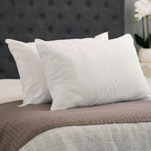 Tontine Good Night Medium Standard Pillows