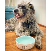 Barkley and Bella Gulp Ceramic Dog Bowl