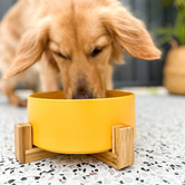 Barkley and Bella Zen Ceramic Dog Bowl