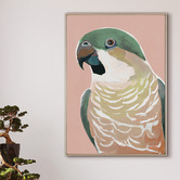 Ebony Arthouse Prasine Cocky Canvas Wall Art