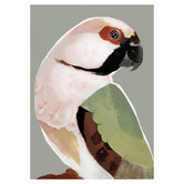 Ebony Arthouse Prasine Parrot Canvas Wall Art