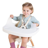 ChildHome Childhome Evolu High Chair Tray
