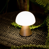 iWorldAustralia Lexon Mina Rechargeable LED Touch Table Lamp