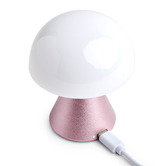 iWorldAustralia Lexon Mina Rechargeable LED Touch Table Lamp