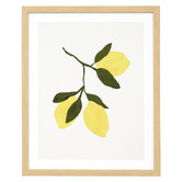 The Print Academy Lemon Branch Framed Paper Print Wall Art