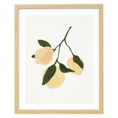 The Print Academy Orange Branch Framed Paper Print Wall Art