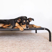T&amp;S Pet Products Black T&amp;S Raised Dog Bed