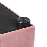 Core Living Beryl Velvet Storage Ottoman Bench