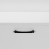 Core Living Tamarah 2 Door Shoe Cabinet