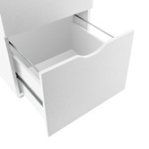 Core Living Leola 2 Drawer Mobile Pedestal