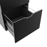 Core Living Leola 2 Drawer Mobile Pedestal