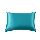 Violette Casa Valentine Mulberry Silk Standard Pillowcase