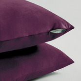 Violette Casa Adeline Velvet European Pillowcases