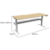 Rein Office Baldwin 120cm Dual Motor Electric Sit &amp; Stand Desk