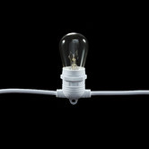 Temple &amp; Webster Outdoor Festoon Lights