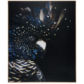 Temple &amp; Webster Curious Cockatoo Framed Canvas Wall Art