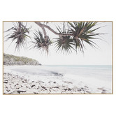 Temple &amp; Webster Noosa Beachscape Framed Canvas Wall Art