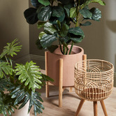 Temple &amp; Webster Coda Plant Pot on Stand