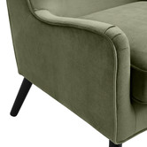 Temple &amp; Webster Shelley Velvet Armchair